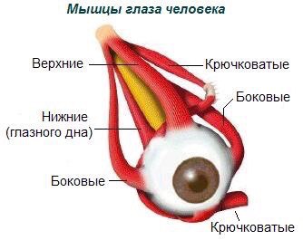 Лечение глаукомы методом бейтса